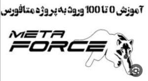 فورس کوین NFT